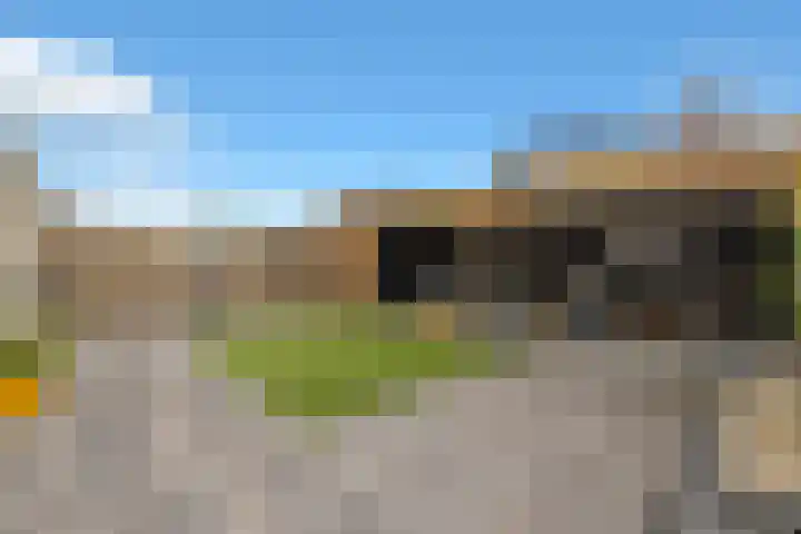 De Lange Streek 44 Swifterbant thumbnail 56