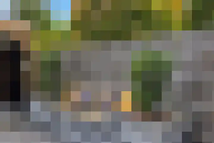De Lange Streek 44 Swifterbant thumbnail 64