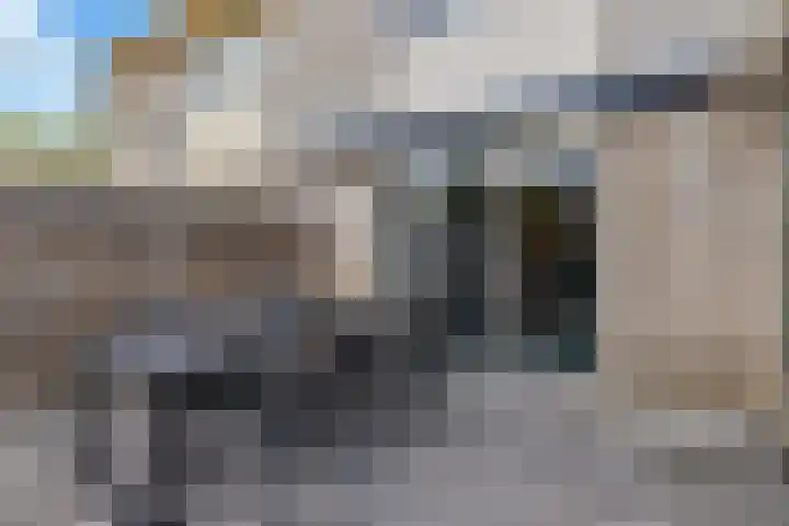 De Lange Streek 44 Swifterbant thumbnail 65