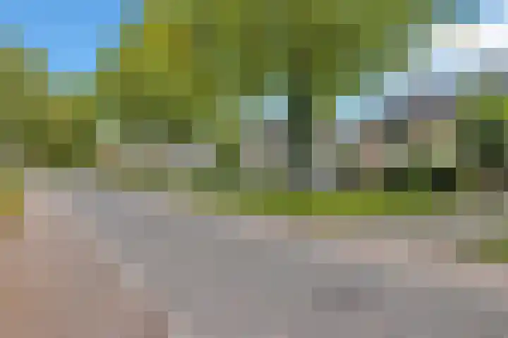 De Lange Streek 44 Swifterbant thumbnail 66