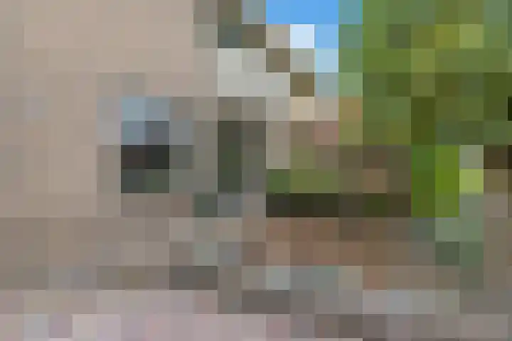 De Lange Streek 44 Swifterbant thumbnail 67