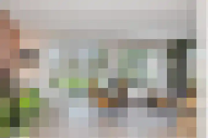 De Lange Streek 44 Swifterbant thumbnail 7