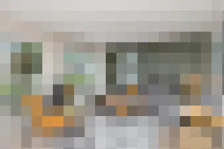 De Lange Streek 44 Swifterbant thumbnail 8
