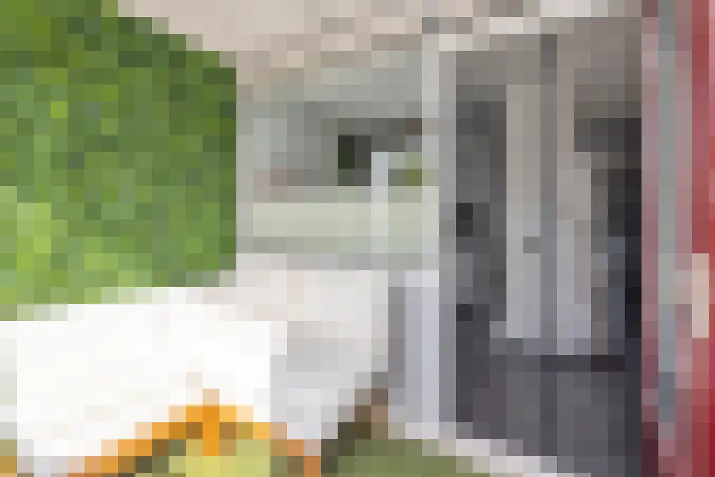 De Lange West 2 12 Drachten thumbnail 30