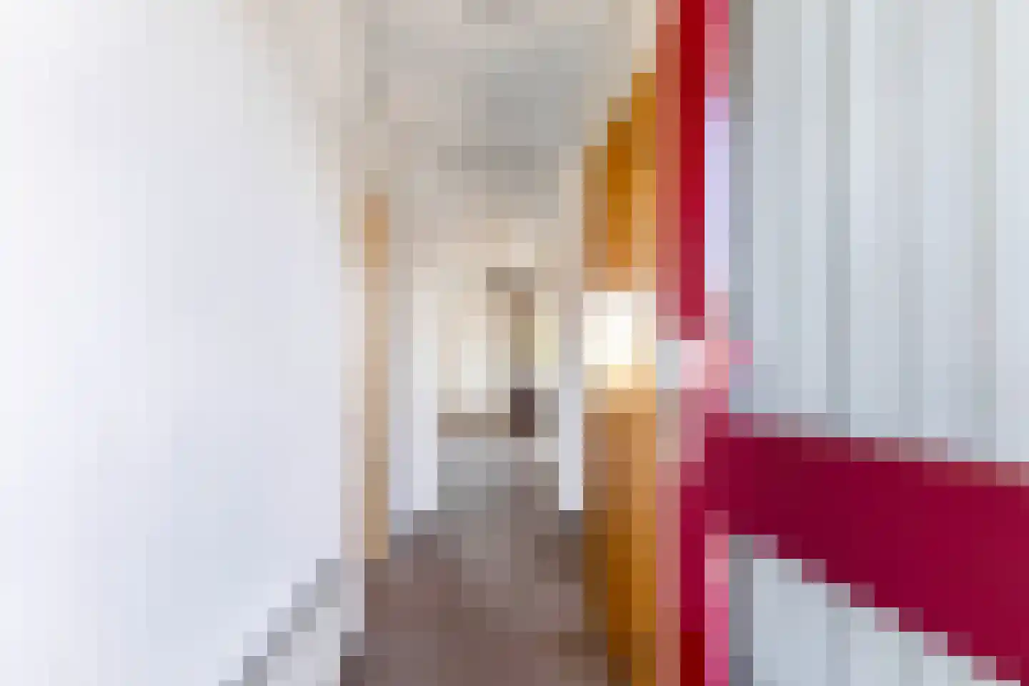 De Lange West 2 6 Drachten thumbnail 7