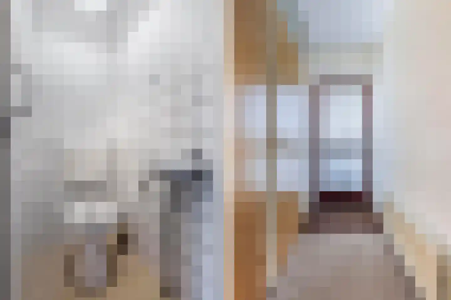 De Lange West 2 6 Drachten thumbnail 8