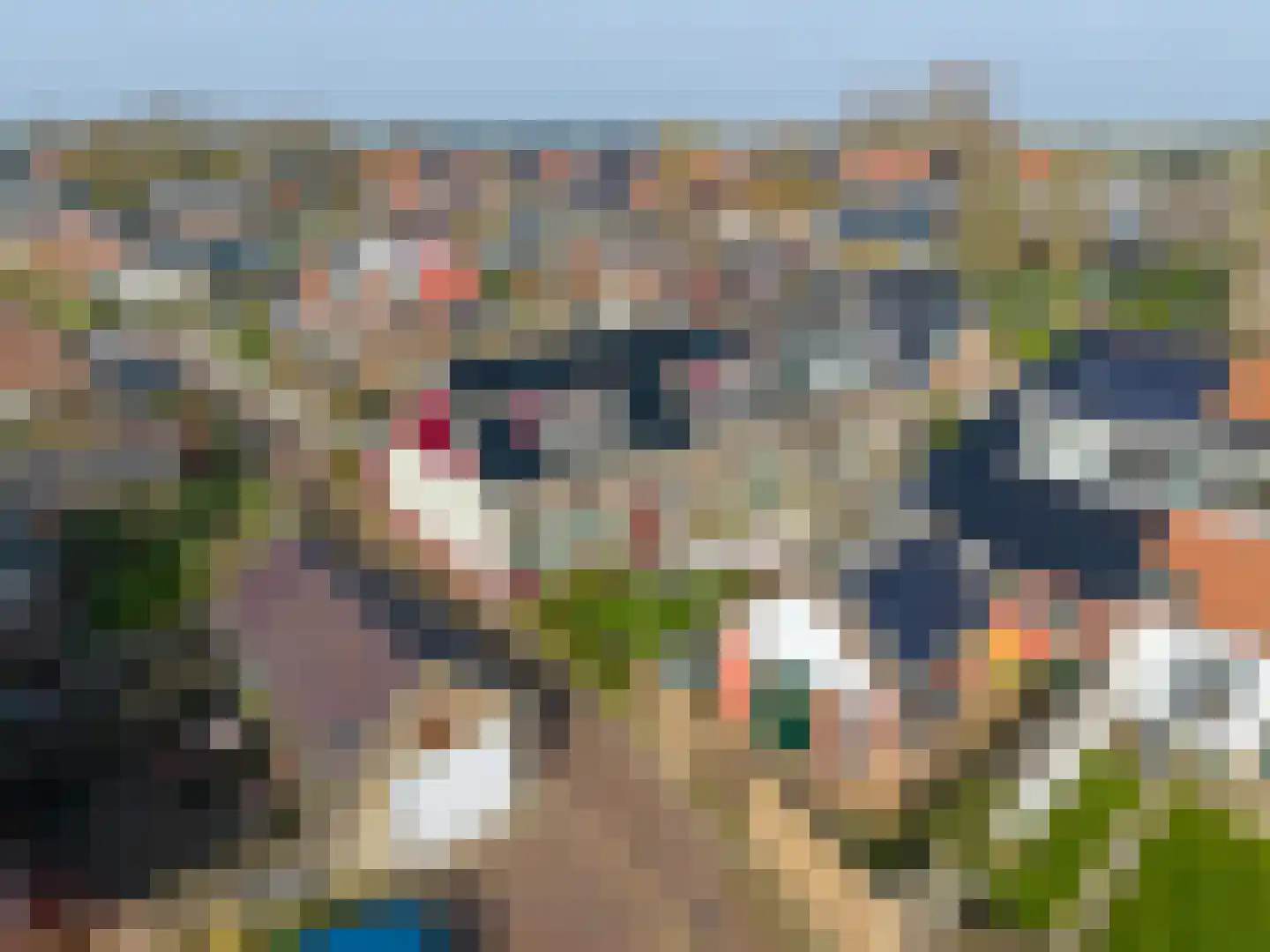 De Langebaan 2 Easterlittens thumbnail 14
