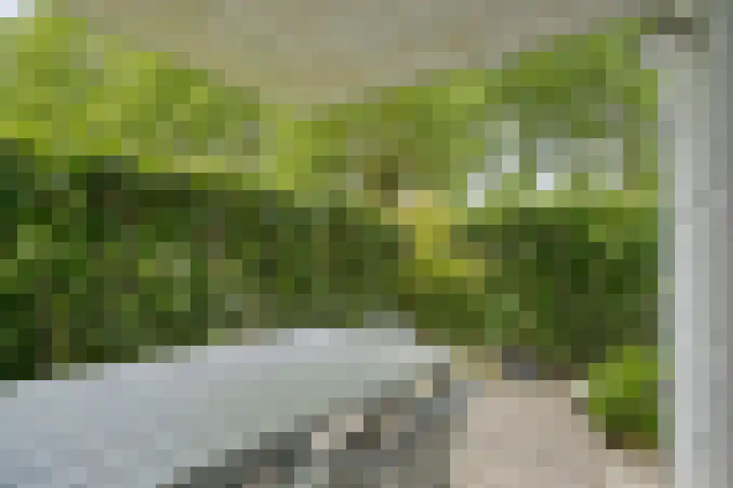 de Langekker 15 Helmond thumbnail 30