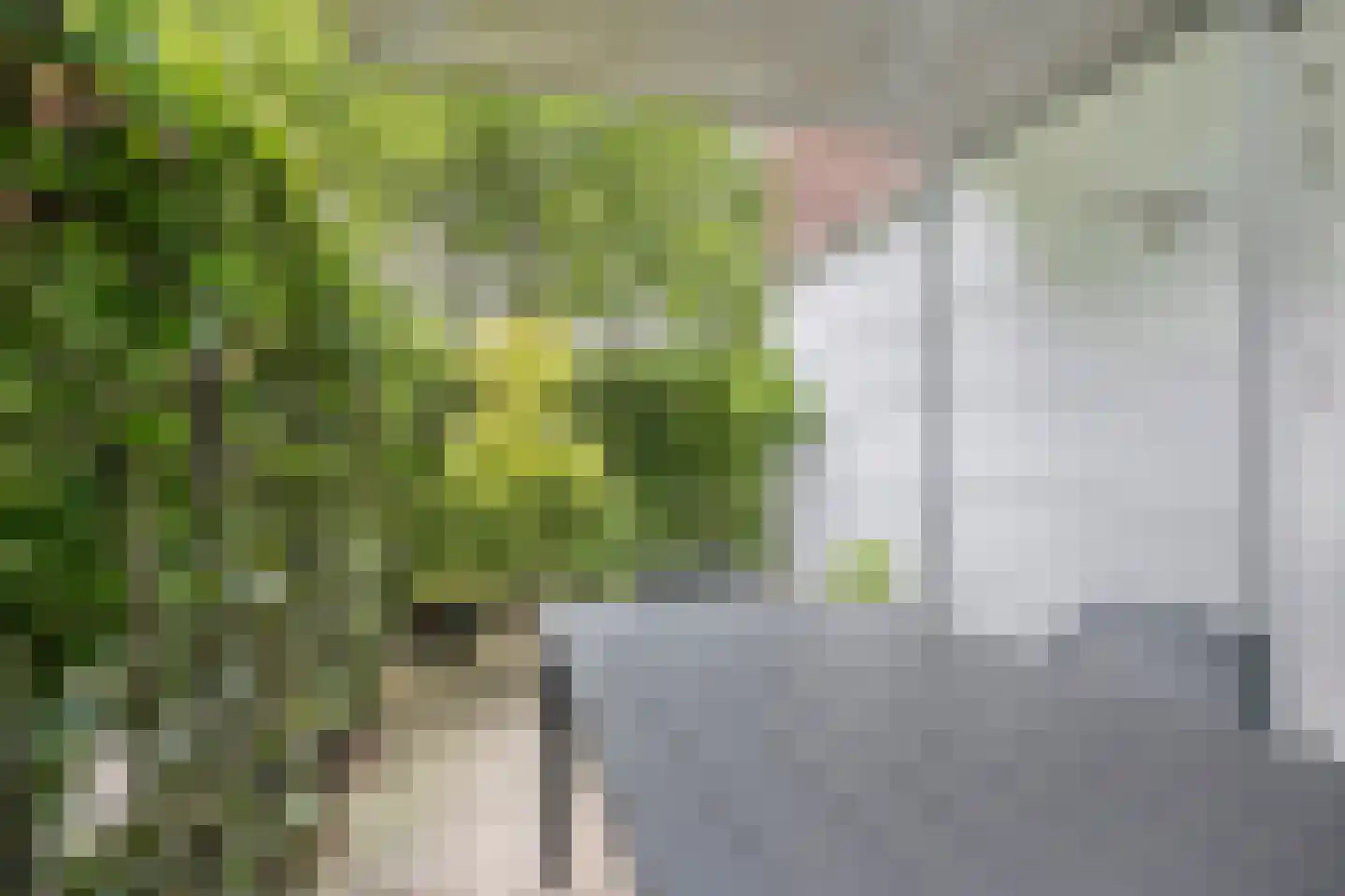 de Langekker 15 Helmond thumbnail 31