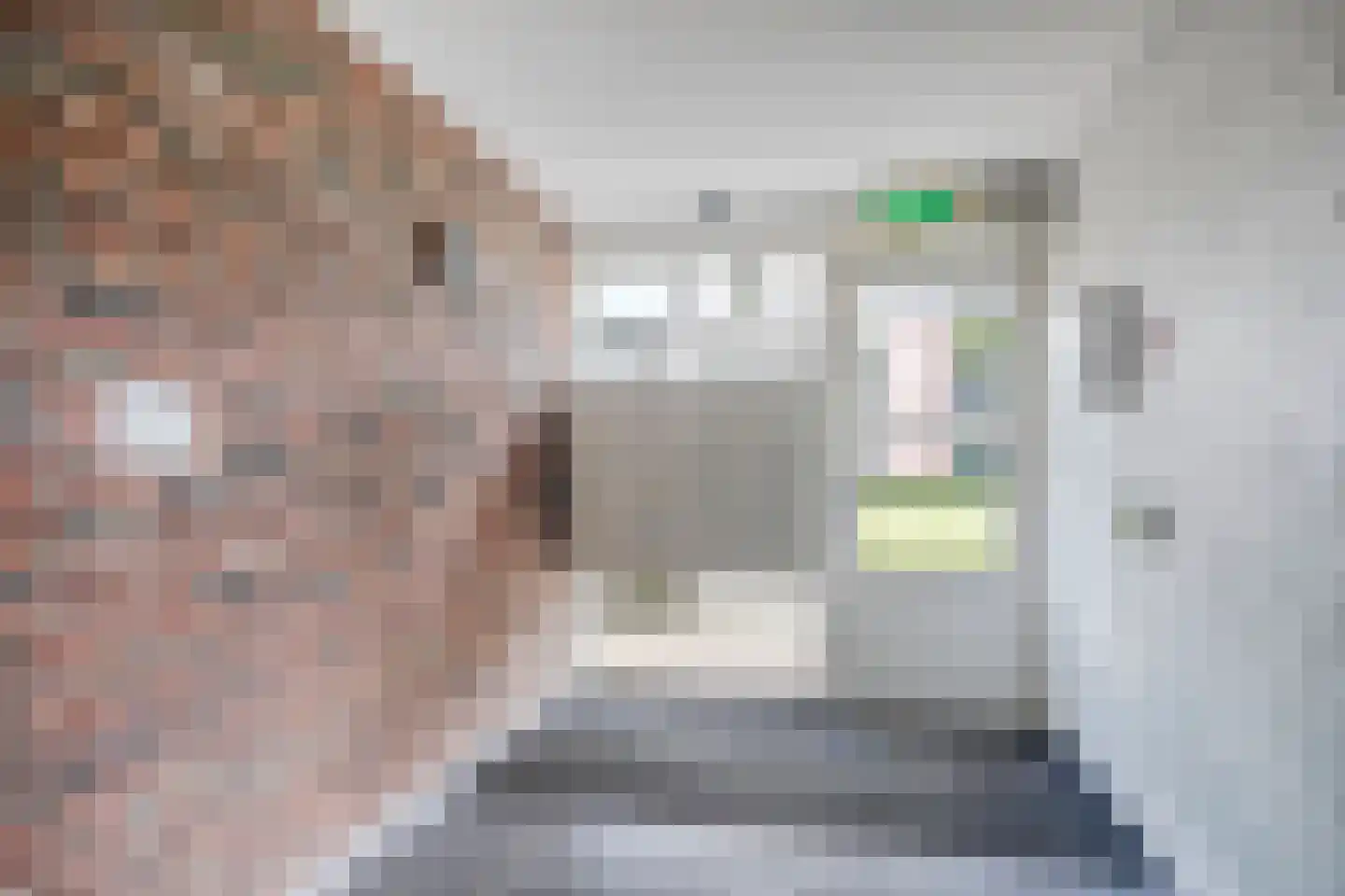 de Langekker 15 Helmond thumbnail 34