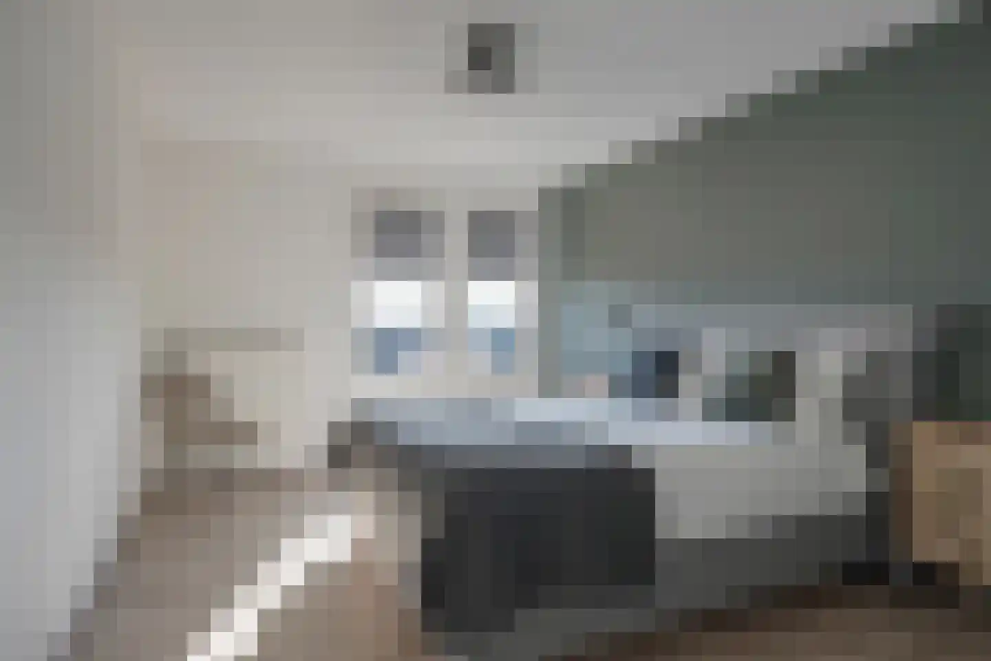 de Langekker 47 Helmond thumbnail 19