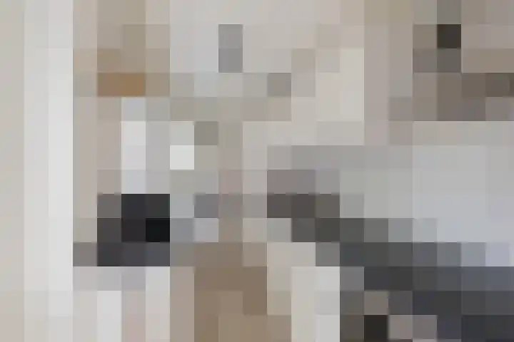De Langestraat 10 Alphen aan den Rijn thumbnail 12
