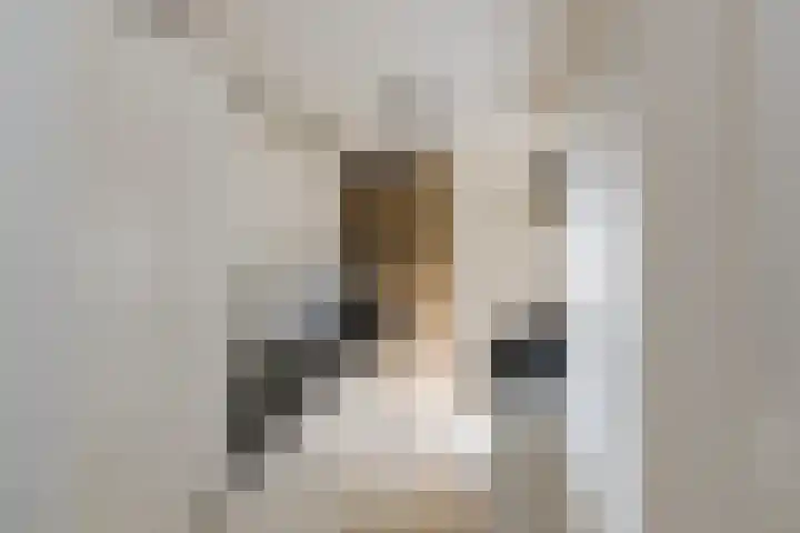 De Langestraat 10 Alphen aan den Rijn thumbnail 13
