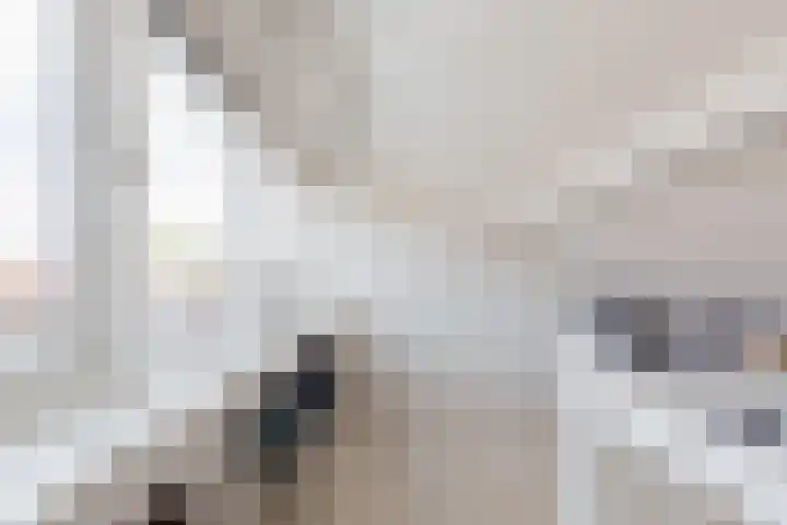 De Langestraat 10 Alphen aan den Rijn thumbnail 30
