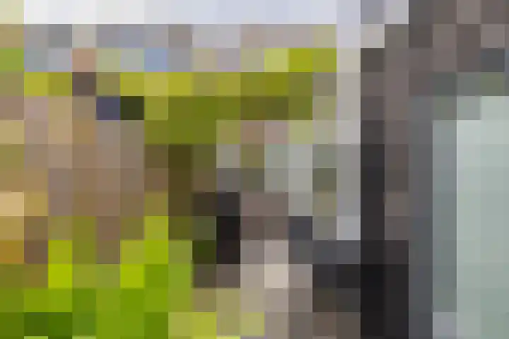 De Langestraat 10 Alphen aan den Rijn thumbnail 33