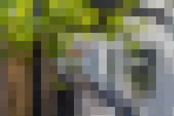 De Langestraat 10 Alphen aan den Rijn thumbnail 35