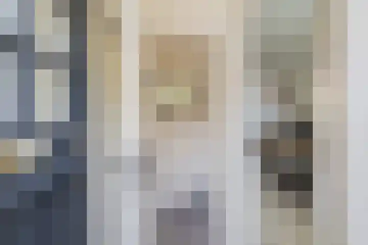 De Langestraat 10 Alphen aan den Rijn thumbnail 37