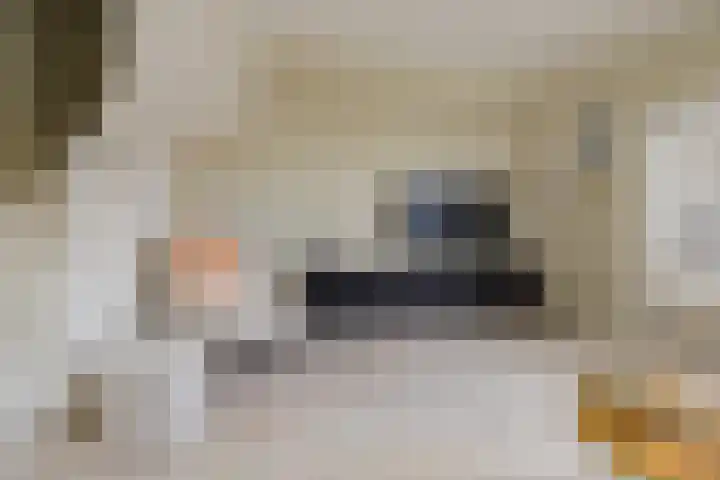 De Langestraat 10 Alphen aan den Rijn thumbnail 5
