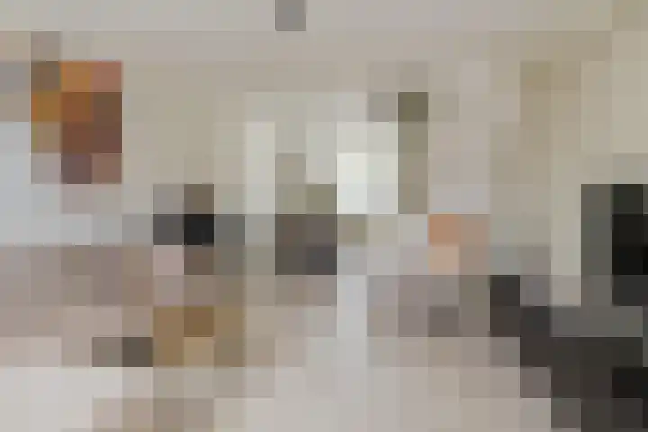 De Langestraat 10 Alphen aan den Rijn thumbnail 9