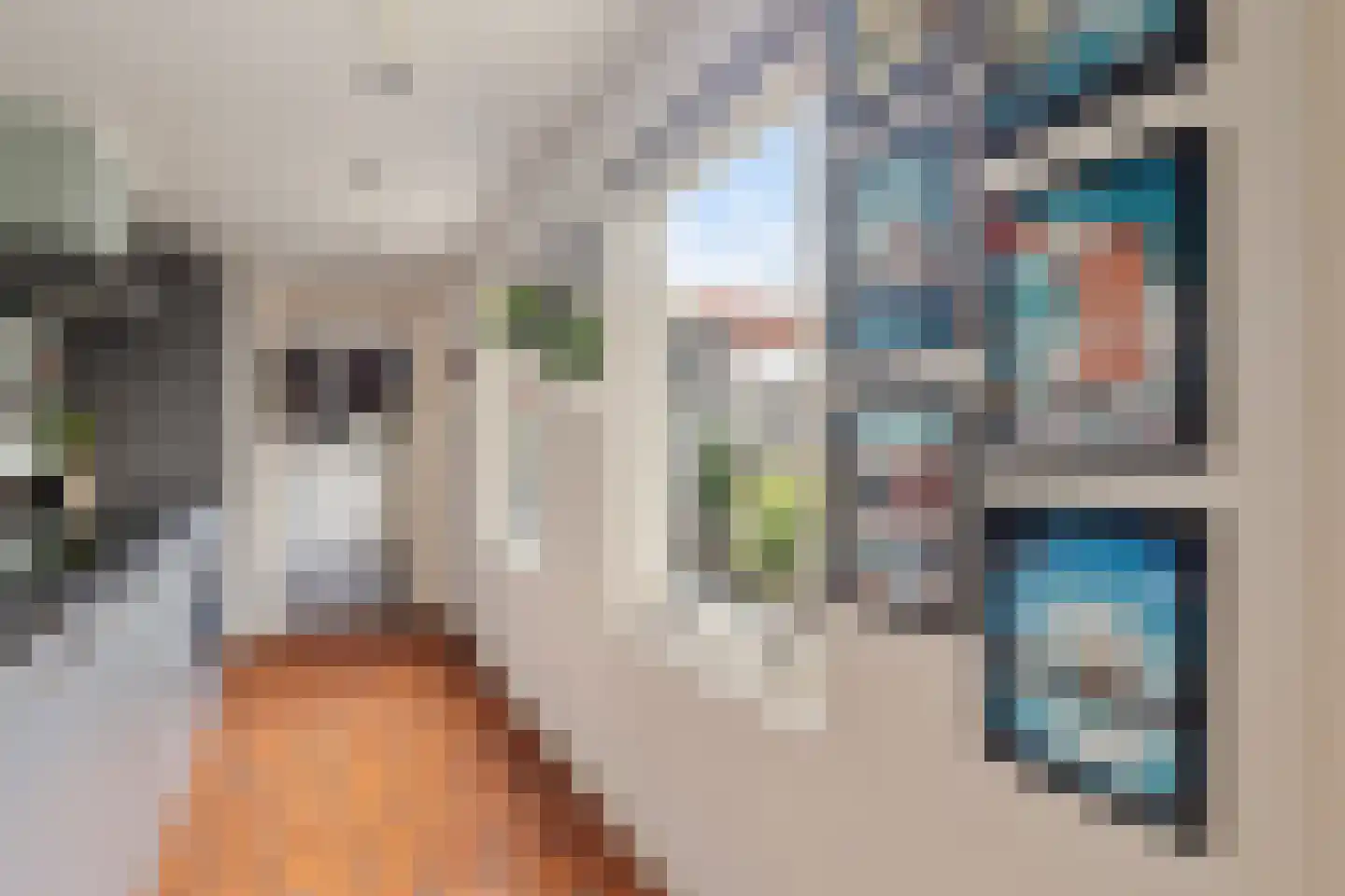 De Langestraat 14 Alphen aan den Rijn thumbnail 10