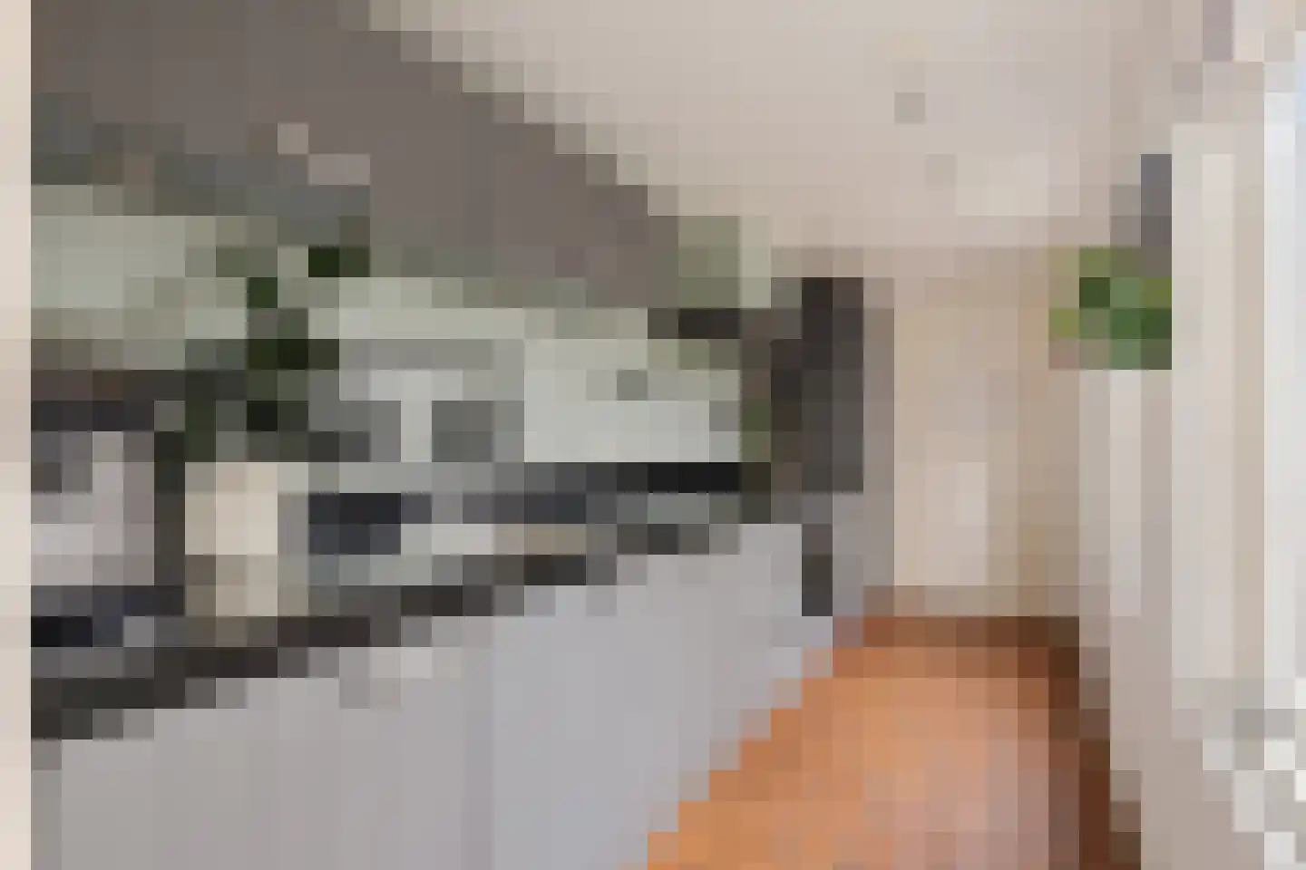 De Langestraat 14 Alphen aan den Rijn thumbnail 11