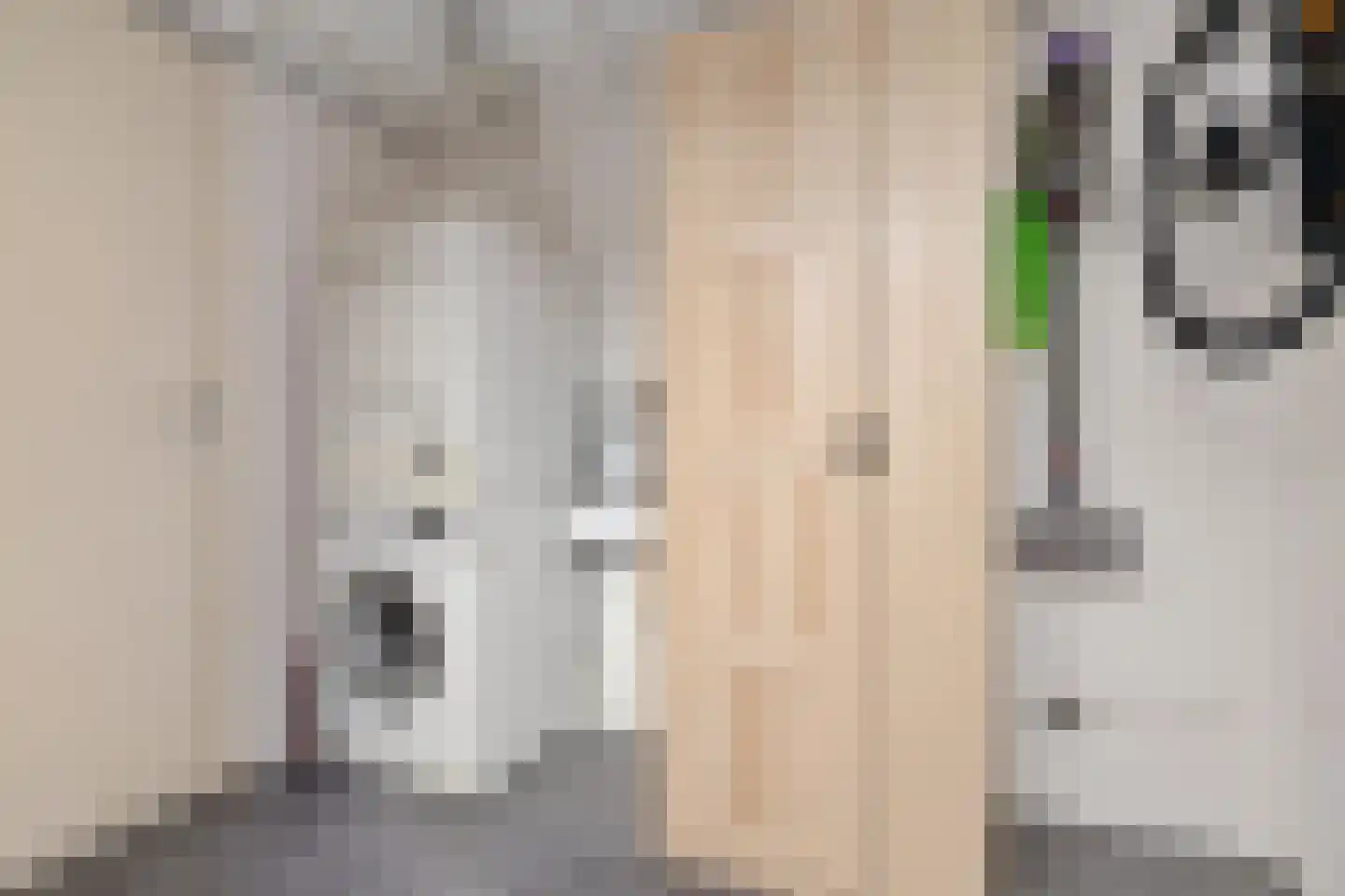 De Langestraat 14 Alphen aan den Rijn thumbnail 14