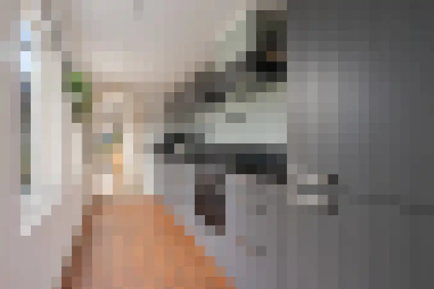 De Langestraat 14 Alphen aan den Rijn thumbnail 15
