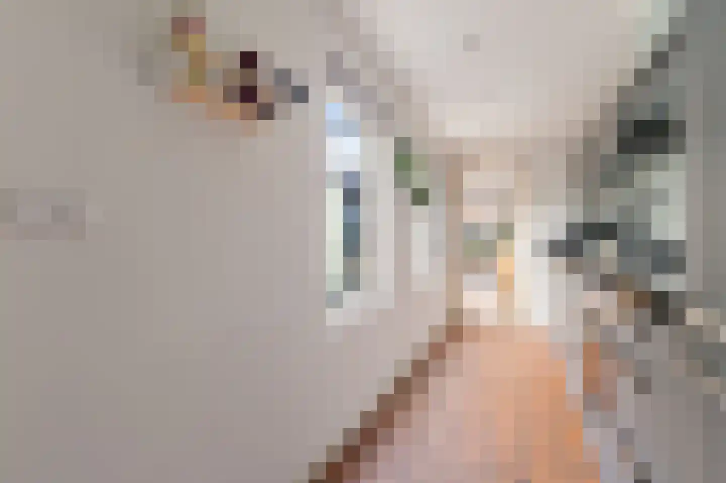 De Langestraat 14 Alphen aan den Rijn thumbnail 16