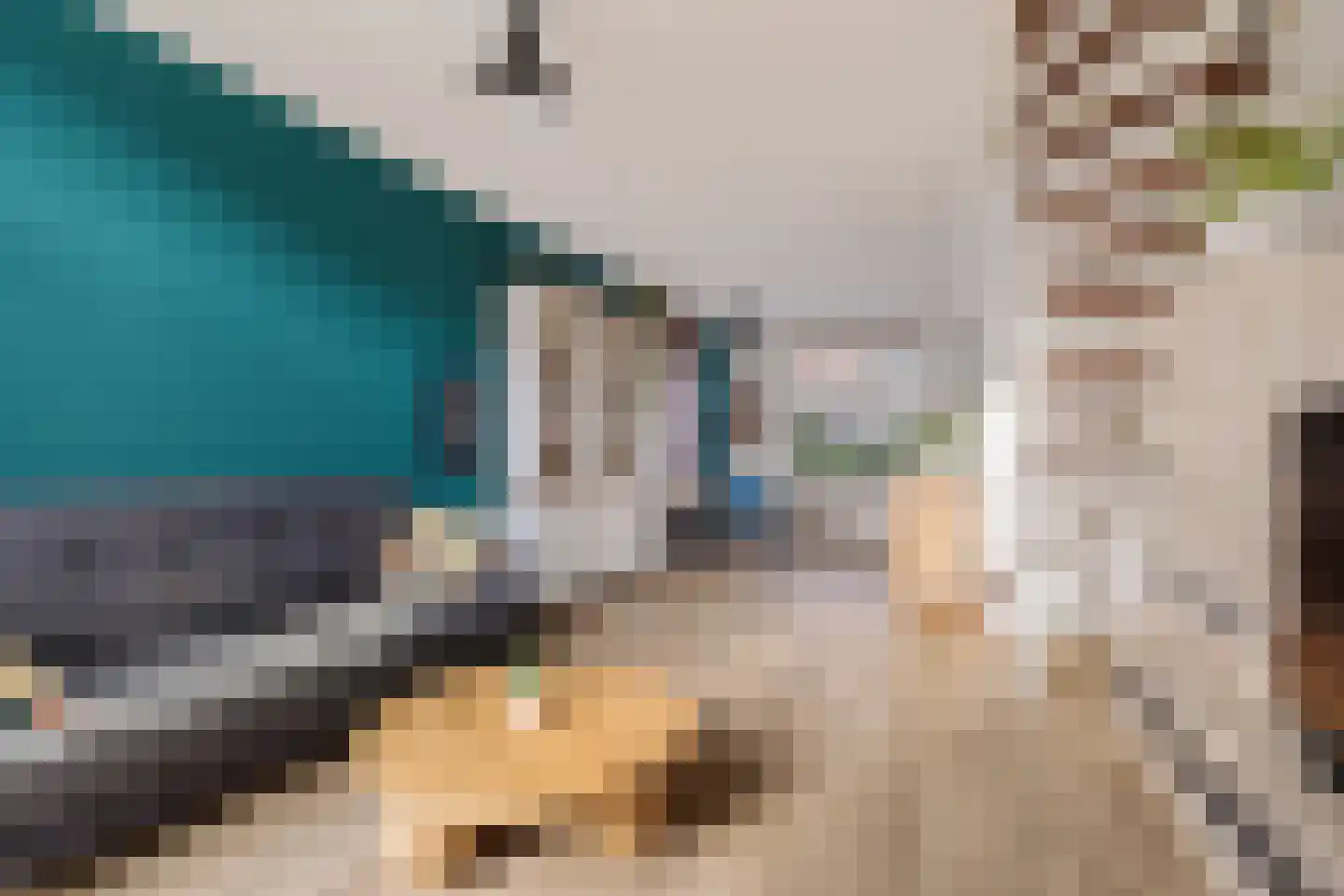 De Langestraat 14 Alphen aan den Rijn thumbnail 18