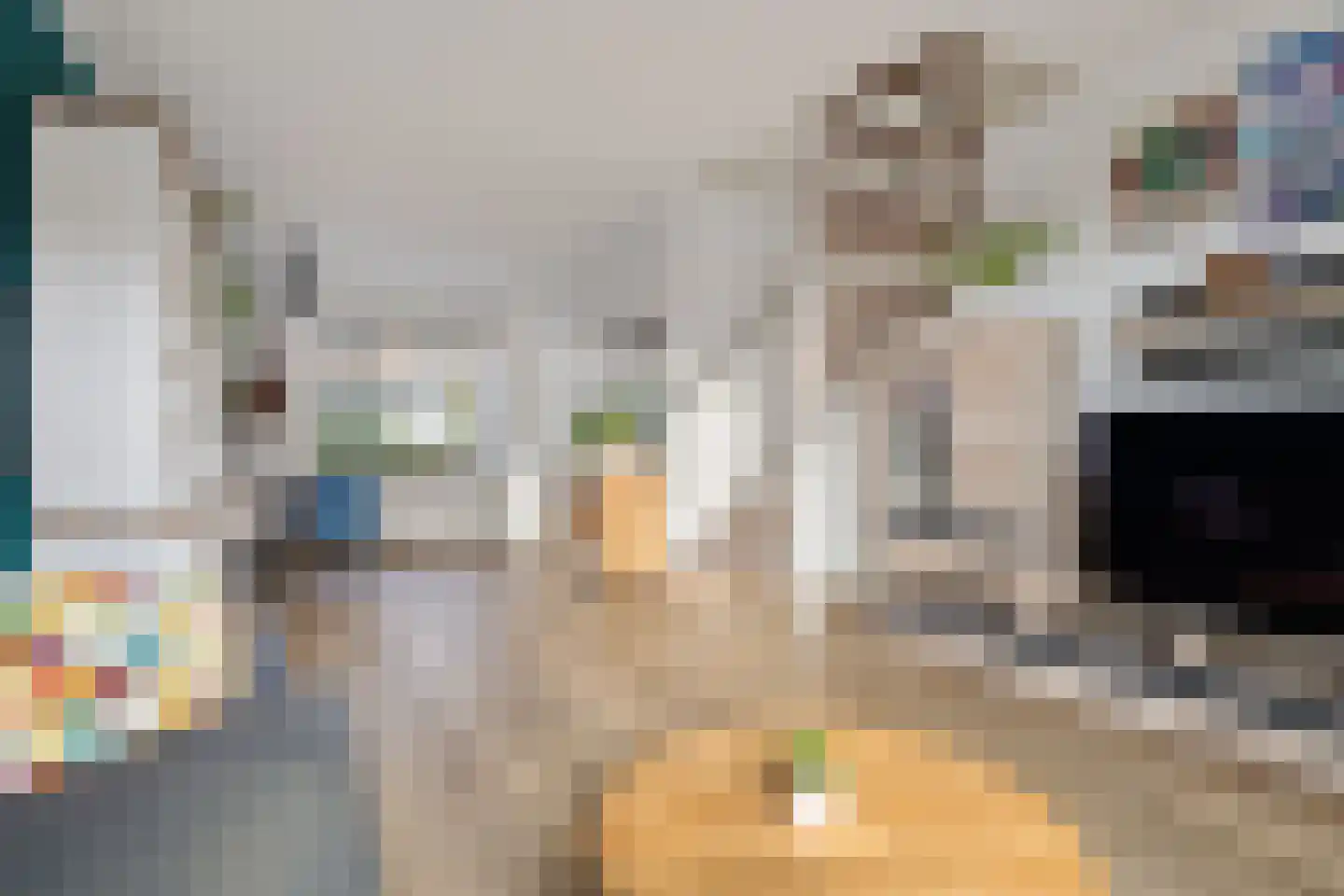 De Langestraat 14 Alphen aan den Rijn thumbnail 19