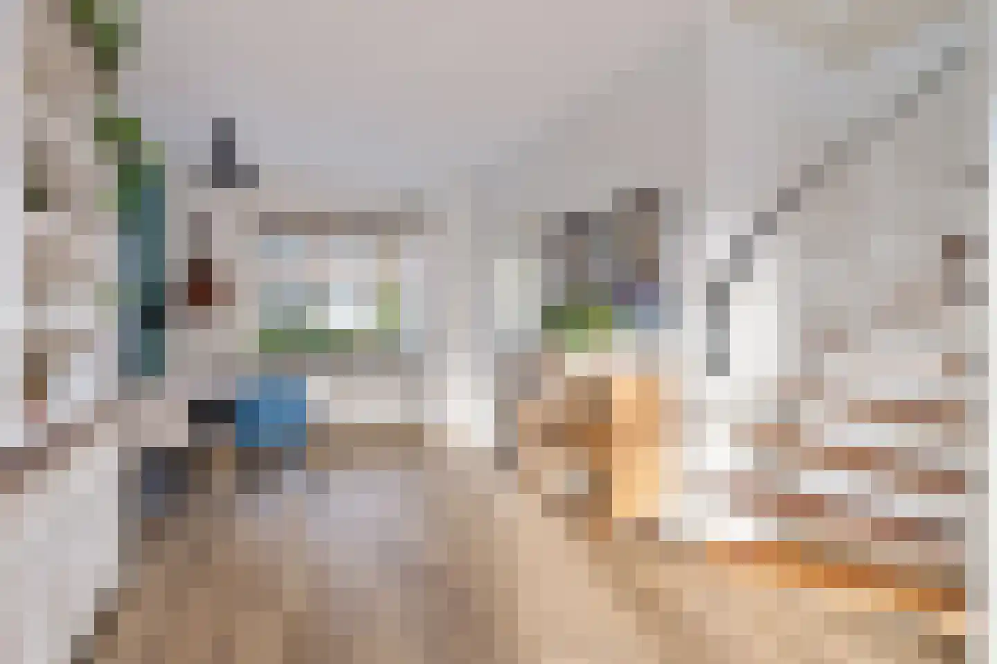 De Langestraat 14 Alphen aan den Rijn thumbnail 21