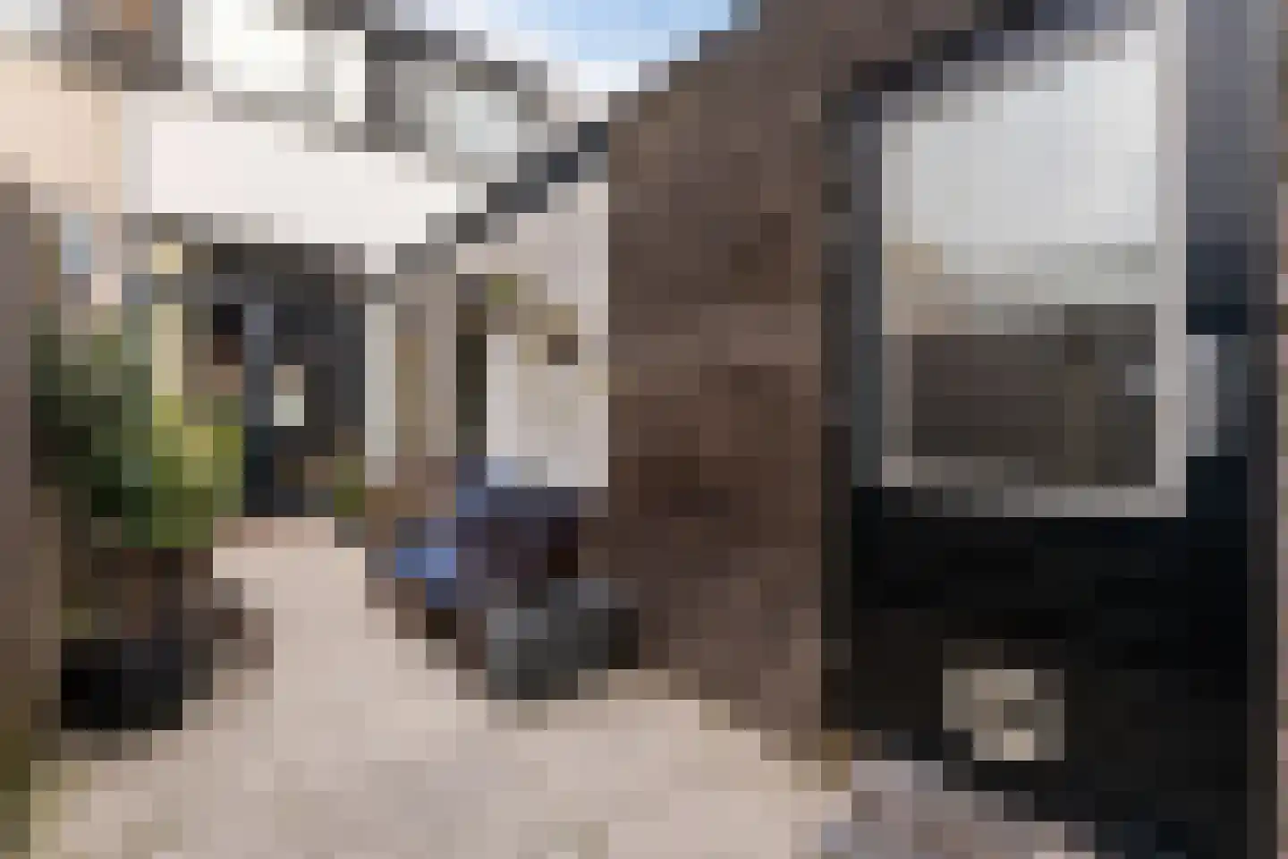 De Langestraat 14 Alphen aan den Rijn thumbnail 25