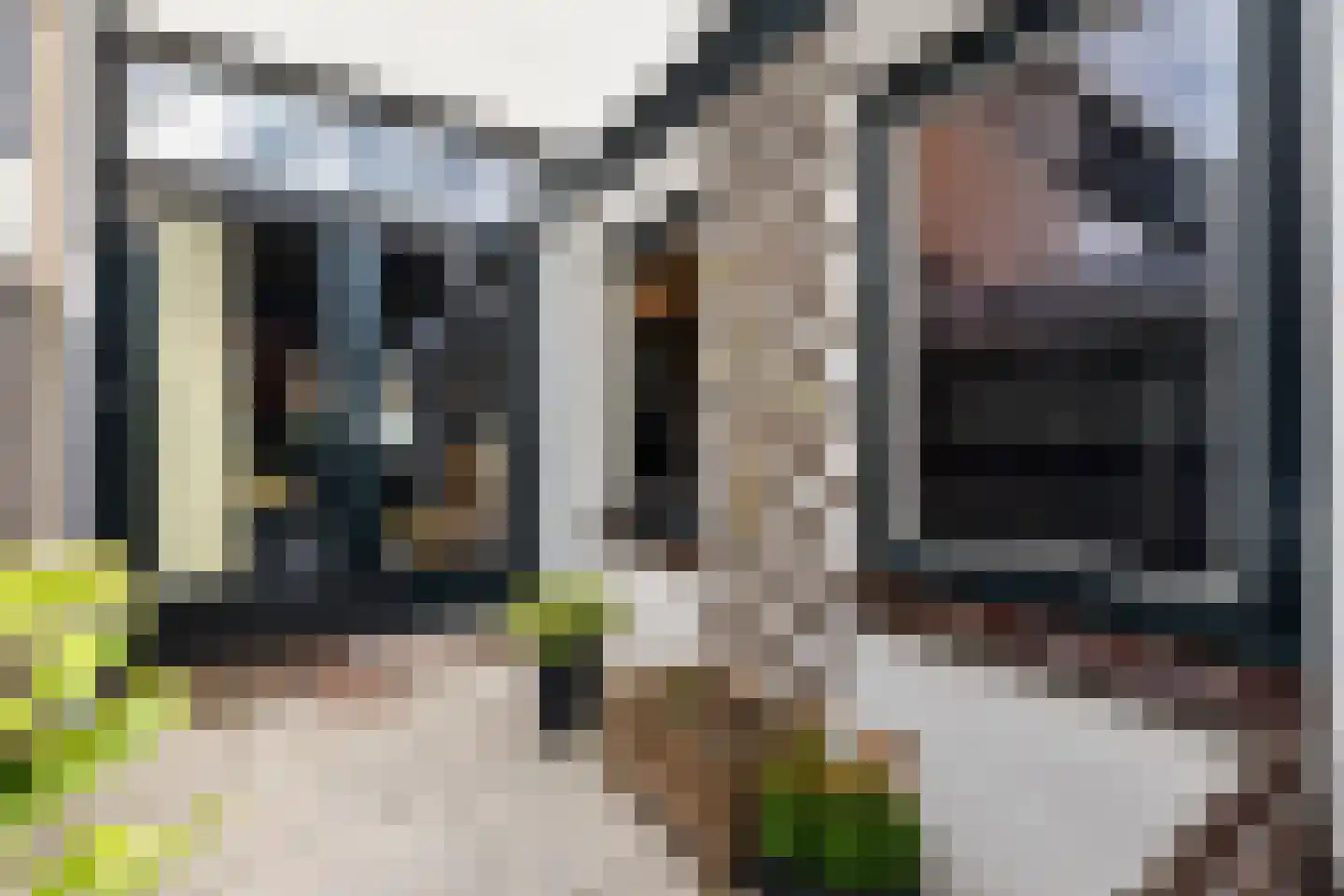 De Langestraat 14 Alphen aan den Rijn thumbnail 27
