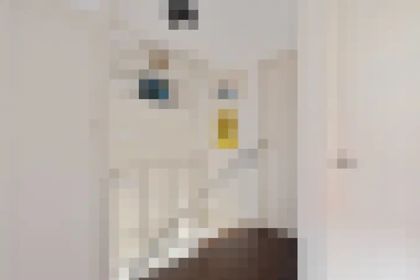 De Langestraat 14 Alphen aan den Rijn thumbnail 28