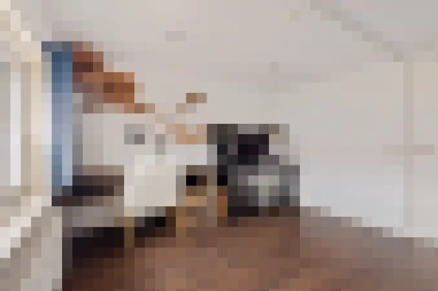 De Langestraat 14 Alphen aan den Rijn thumbnail 36