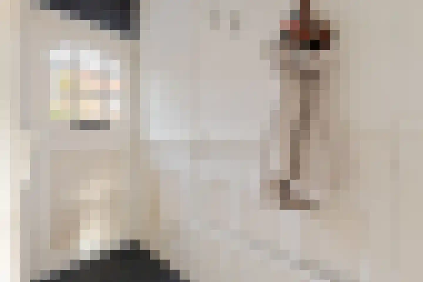 De Langestraat 14 Alphen aan den Rijn thumbnail 4