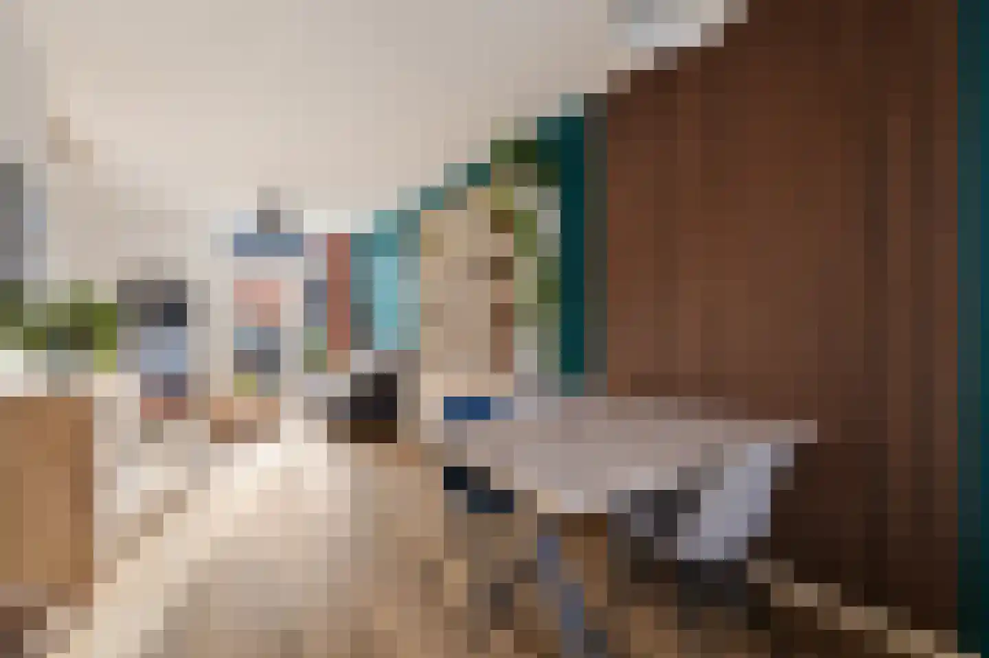 De Langestraat 14 Alphen aan den Rijn thumbnail 7