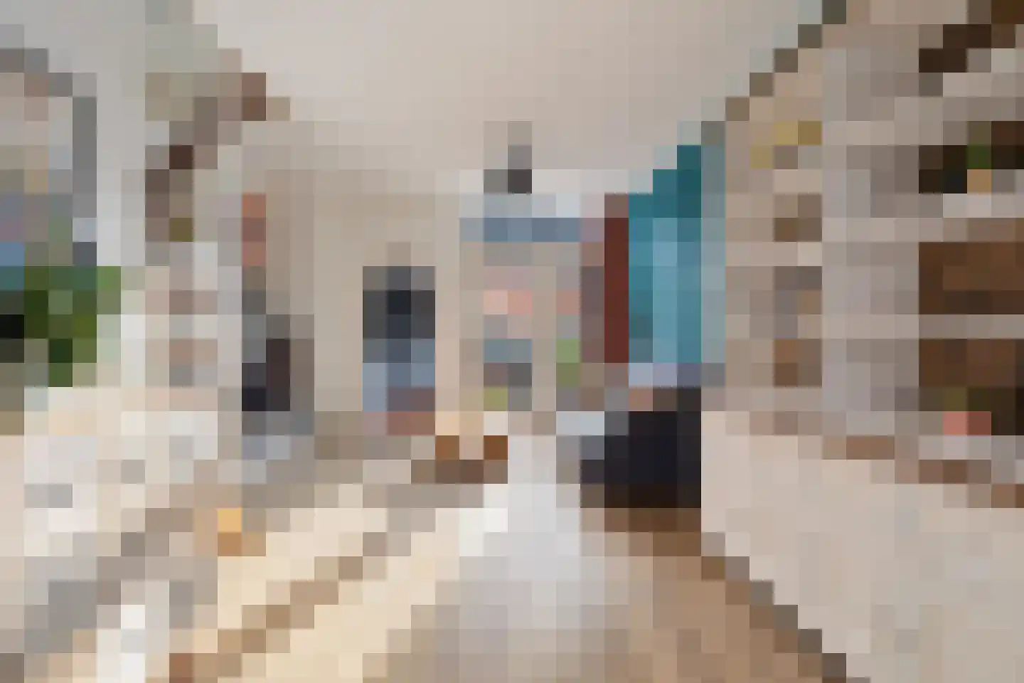 De Langestraat 14 Alphen aan den Rijn thumbnail 8