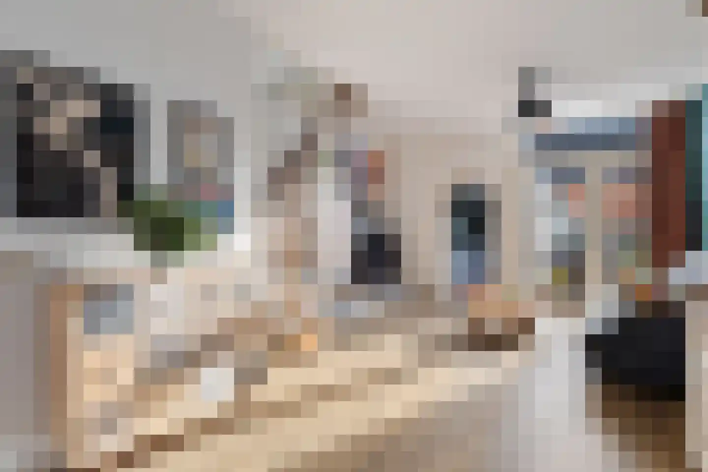 De Langestraat 14 Alphen aan den Rijn thumbnail 9