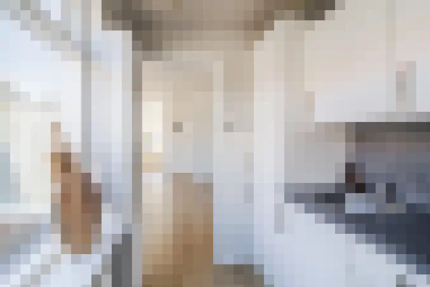 De Langestraat 23 Alphen aan den Rijn thumbnail 10
