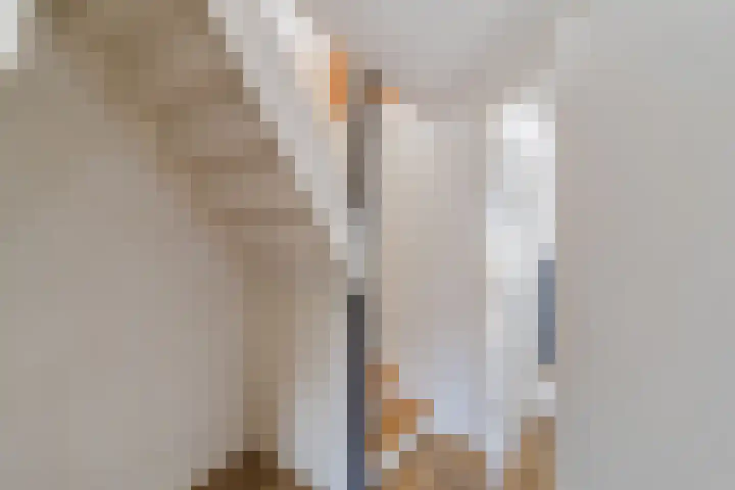 De Langestraat 23 Alphen aan den Rijn thumbnail 23