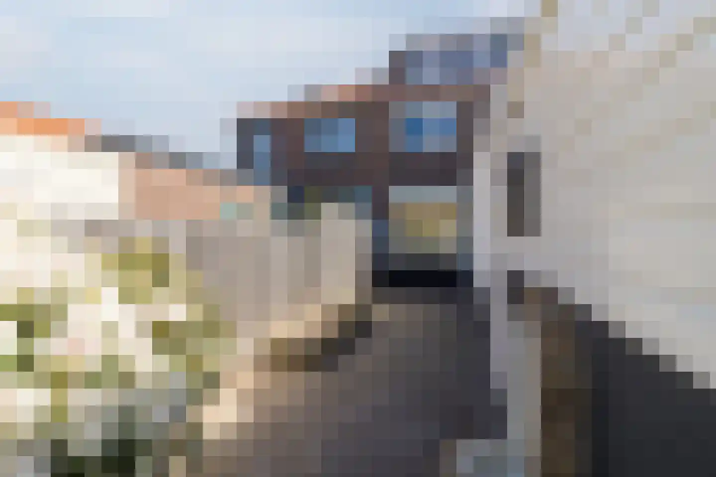De Langestraat 23 Alphen aan den Rijn thumbnail 32