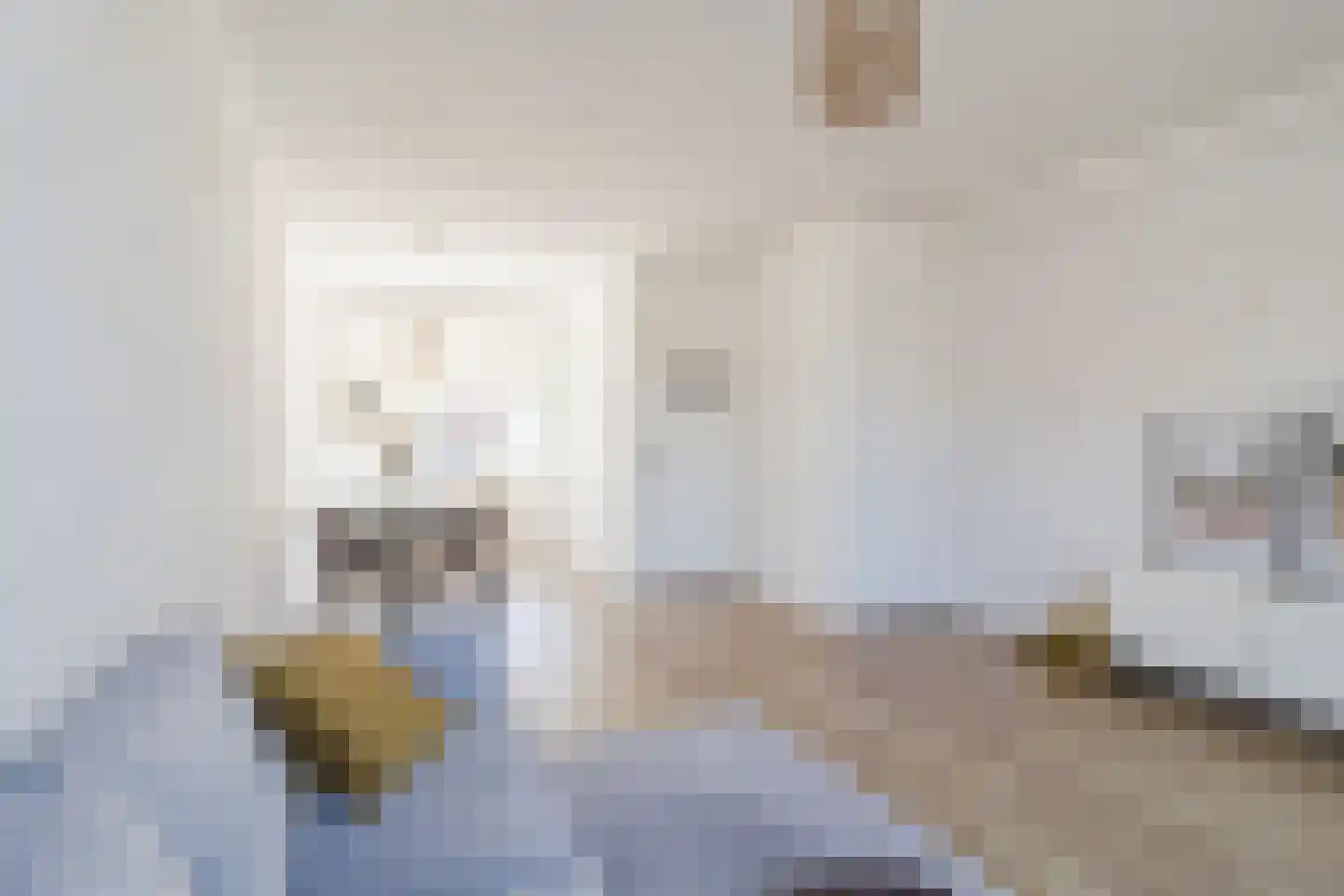 De Langestraat 23 Alphen aan den Rijn thumbnail 7