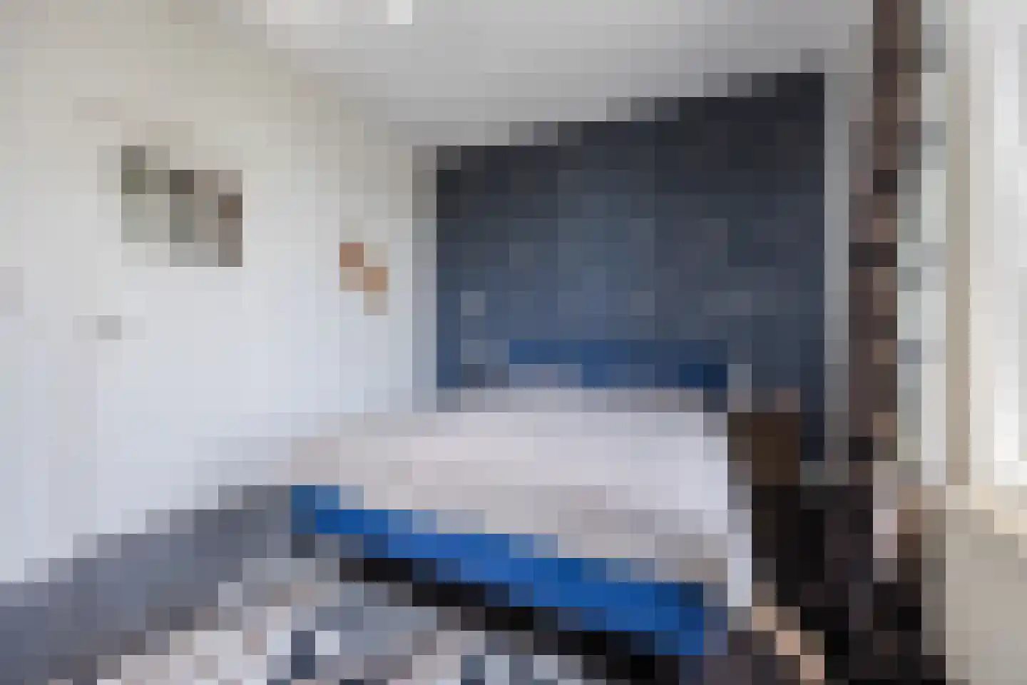 De Langeweg 56 Langeweg thumbnail 39