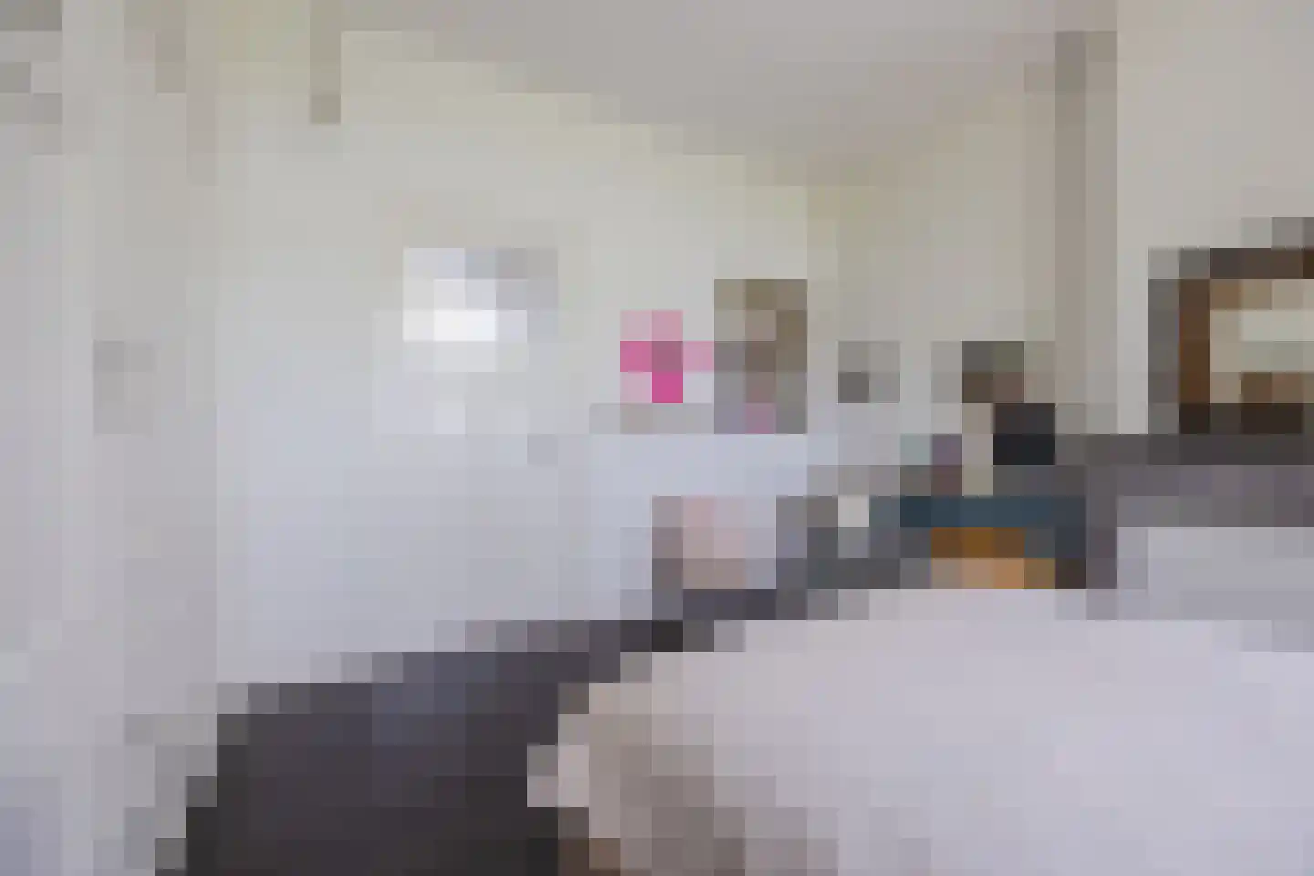De Langeweg 56 Langeweg thumbnail 43