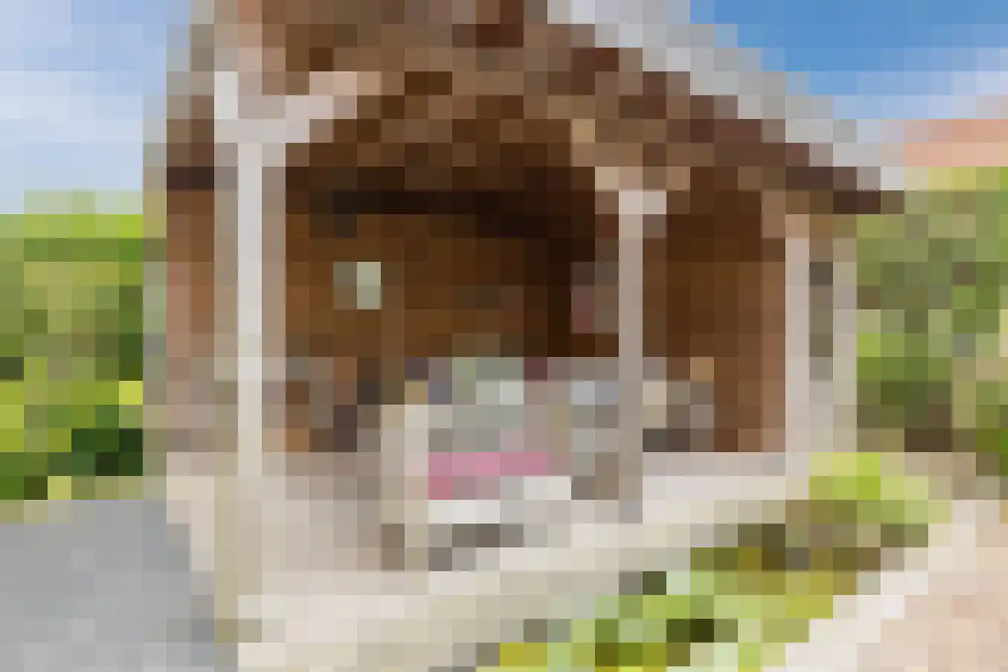De Langeweg 56 Langeweg thumbnail 51