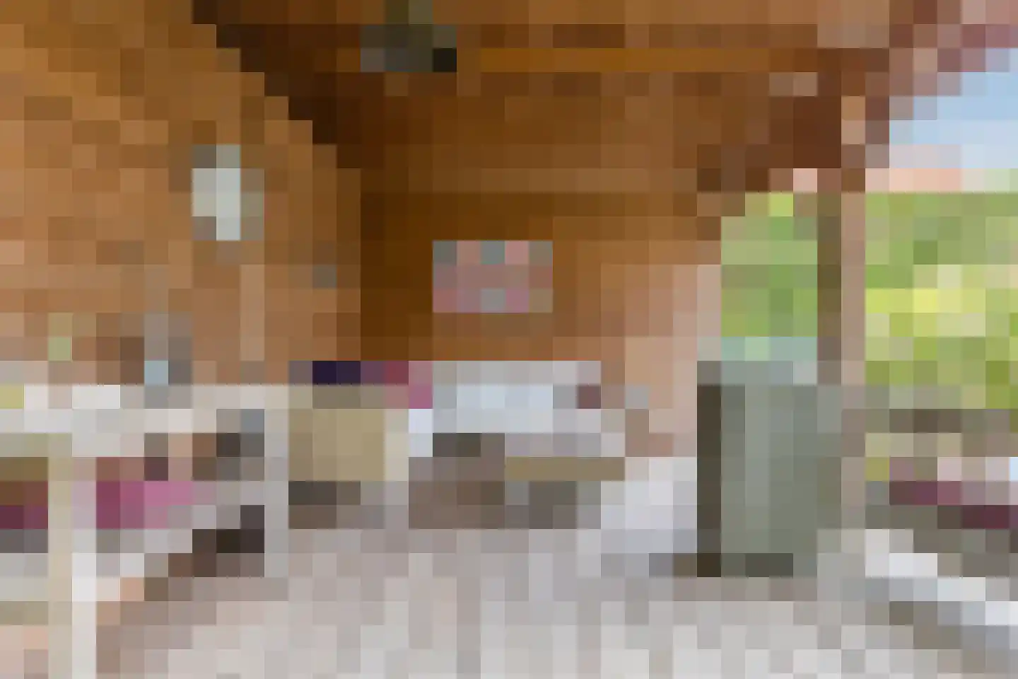De Langeweg 56 Langeweg thumbnail 52
