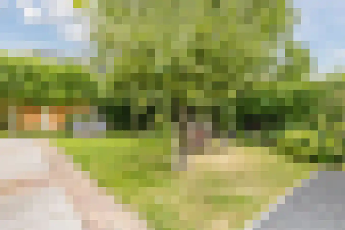 De Langeweg 56 Langeweg thumbnail 54