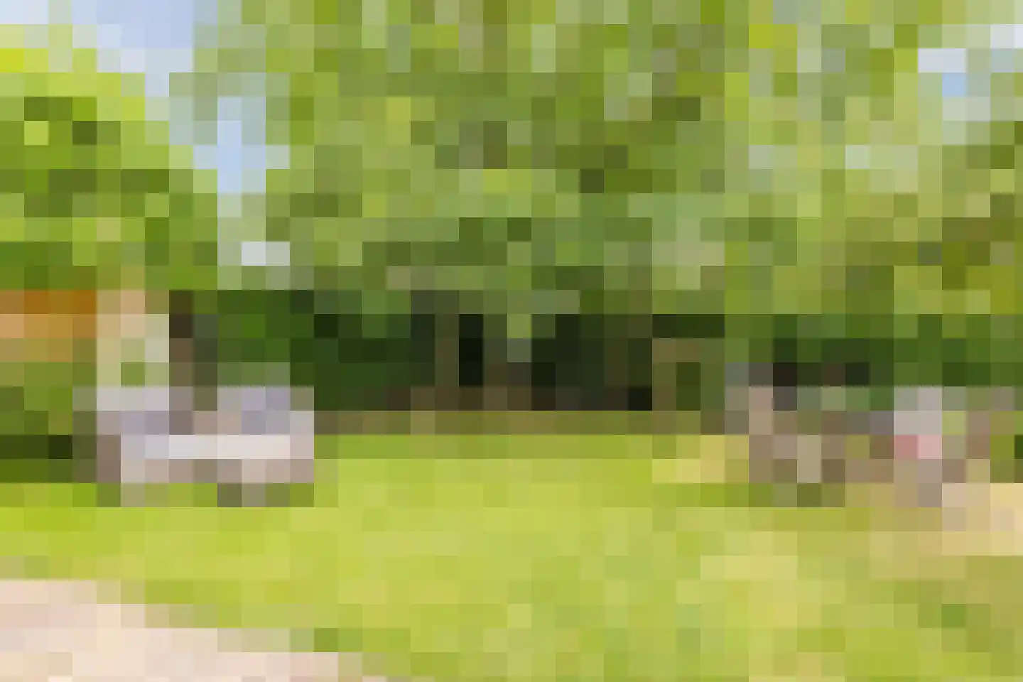De Langeweg 56 Langeweg thumbnail 55