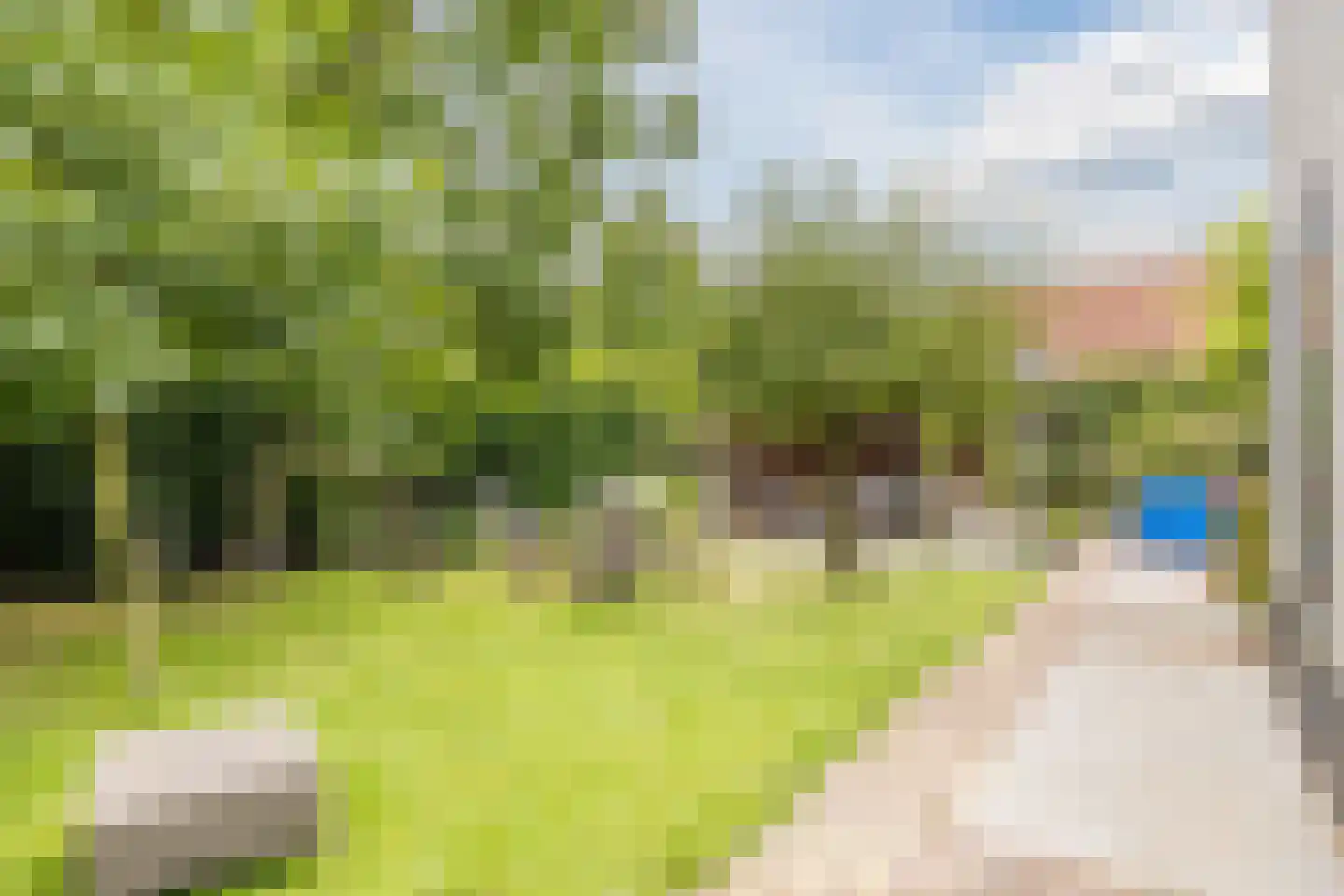 De Langeweg 56 Langeweg thumbnail 56